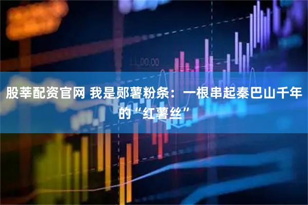 股莘配资官网 我是郧薯粉条：一根串起秦巴山千年的“红薯丝”
