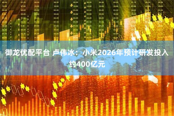 御龙优配平台 卢伟冰：小米2026年预计研发投入约400亿元
