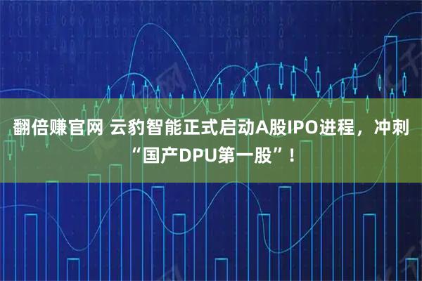 翻倍赚官网 云豹智能正式启动A股IPO进程，冲刺“国产DPU第一股”！